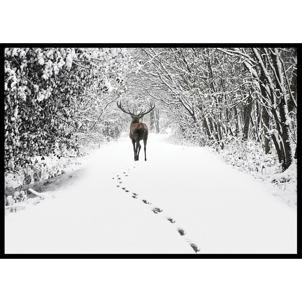 Poster Gallerix Deer Forest Walk