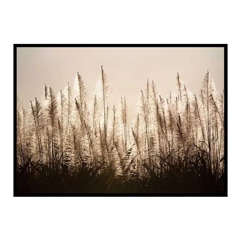 Poster Gallerix Sugar Cane