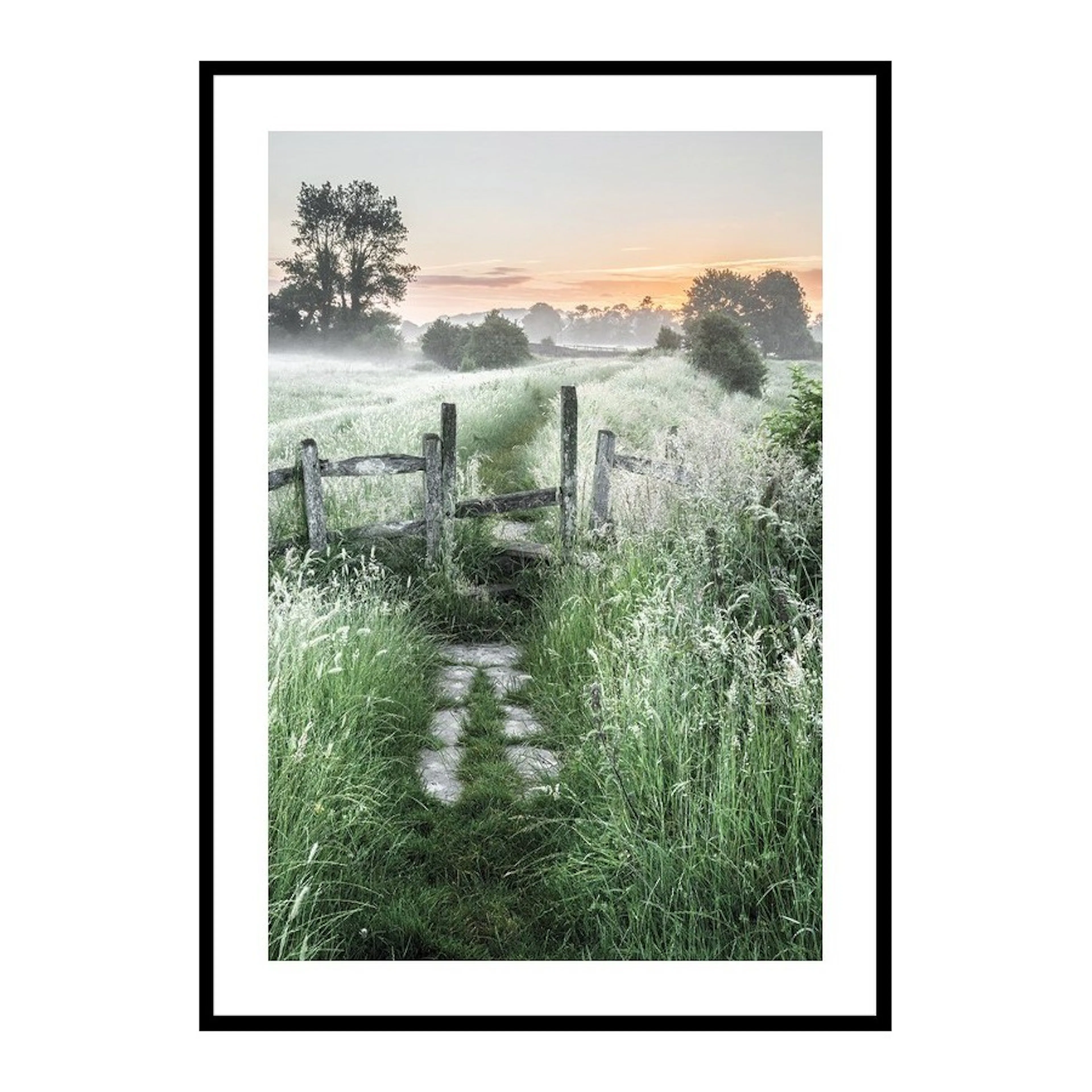 Poster Gallerix Summer Sunrise