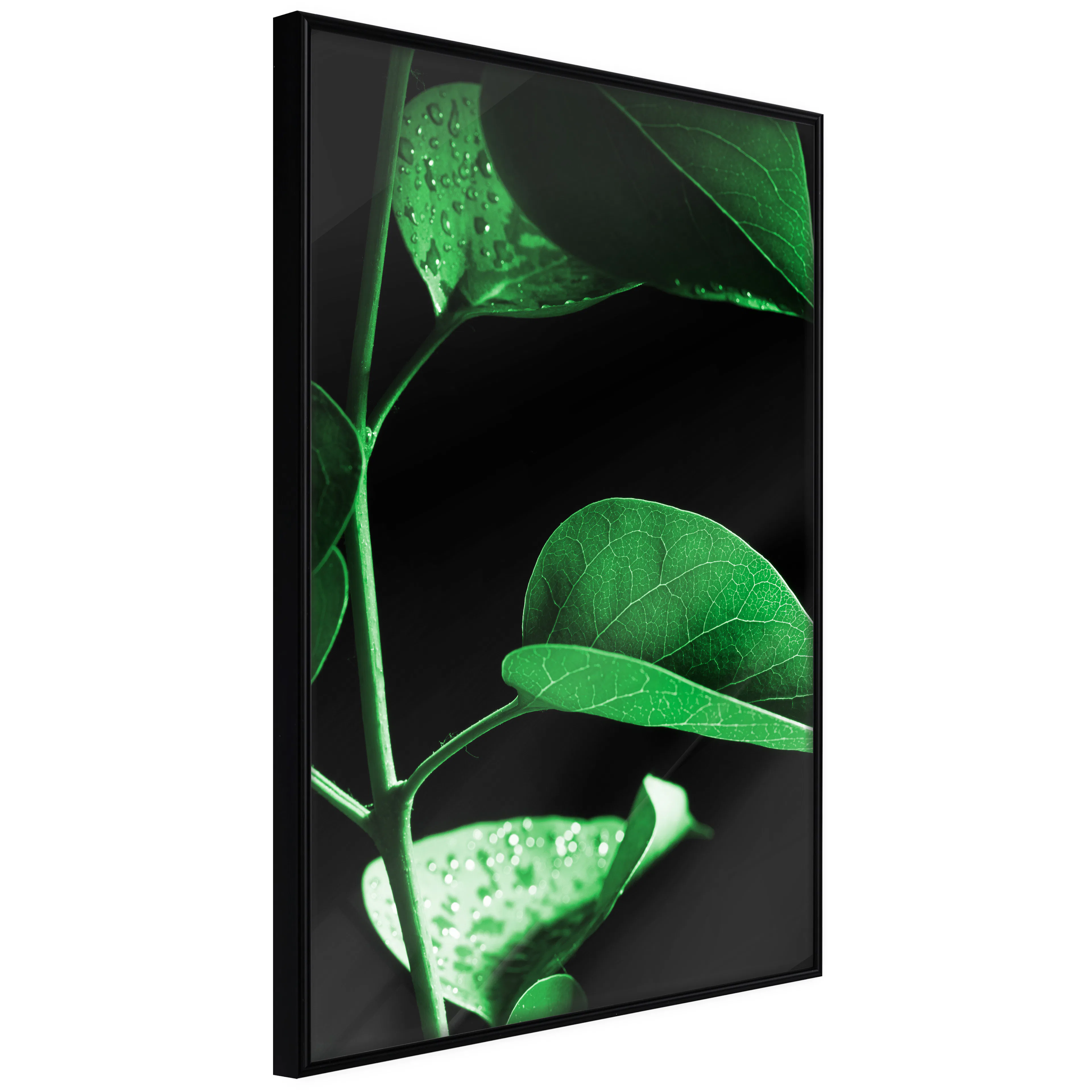 Affisch - Plant in Black [Poster] 20x30 Svart ram, 20x30 cm
