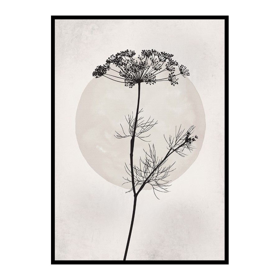 Poster Gallerix Dried Flower Silhouette