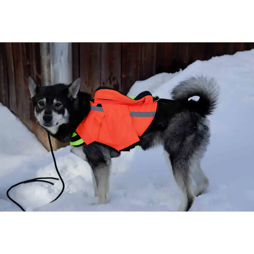 Väst NordicDog med GPS Stl L