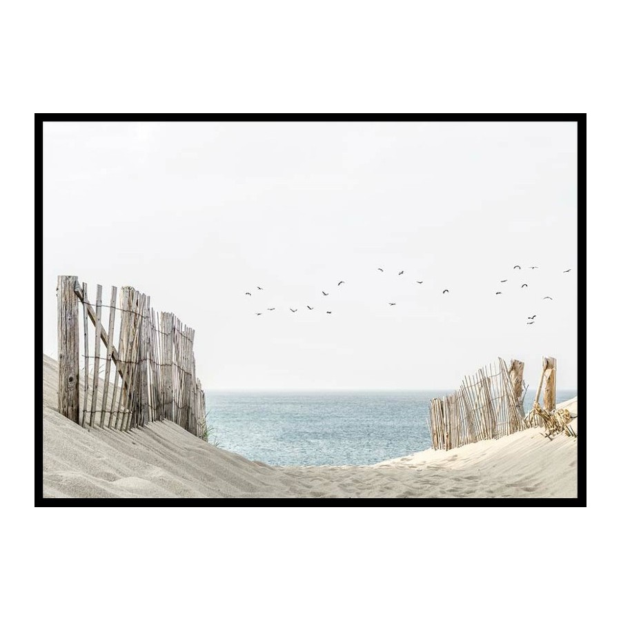 Poster Gallerix Birds At Cape Cod