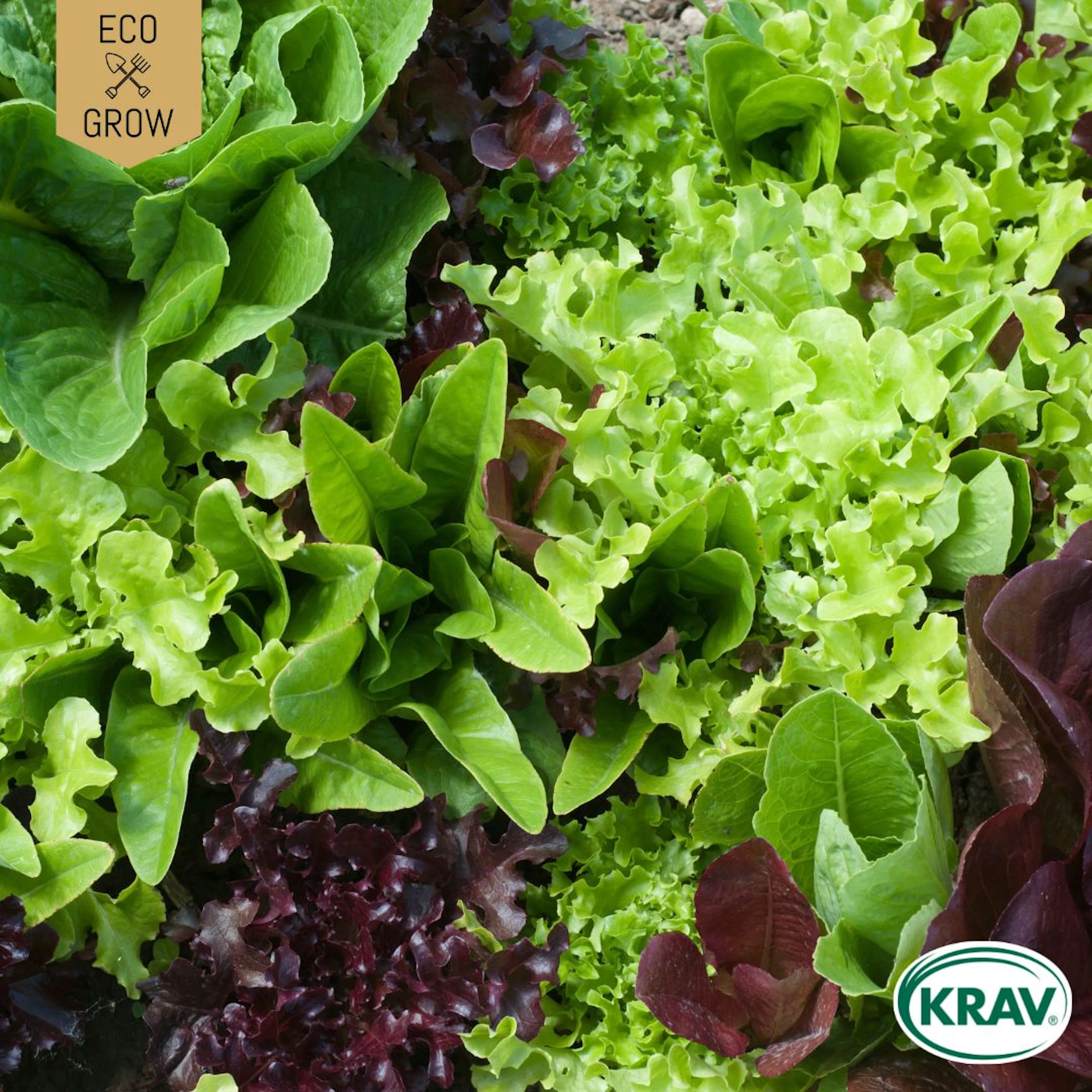 Fröpåse Eco Grow Sallat Mix Gourmet Baby Leaf Mix