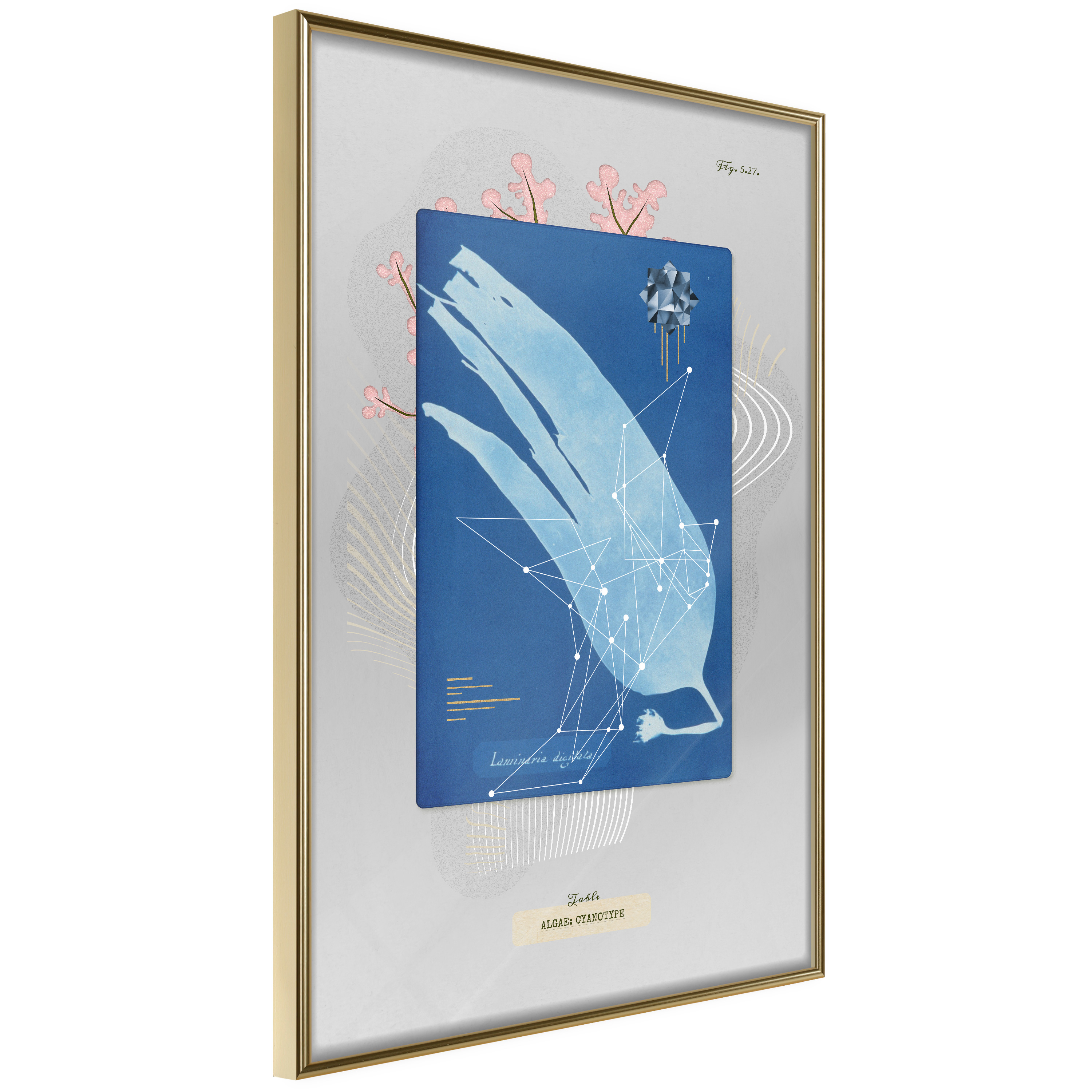 Poster Artgeist Affisch Alga