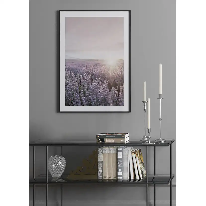 Poster Gallerix Provence Lavender