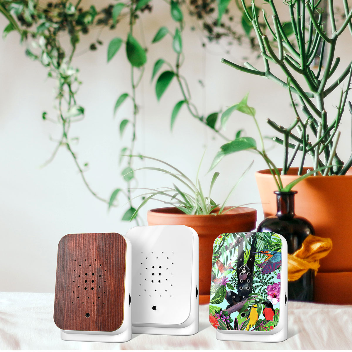 Junglebox Speldosa Vit Djungeldjur/Vit