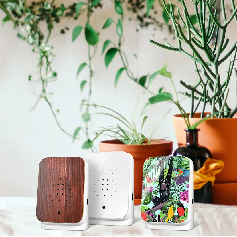 Junglebox Speldosa Vit Djungeldjur/Vit