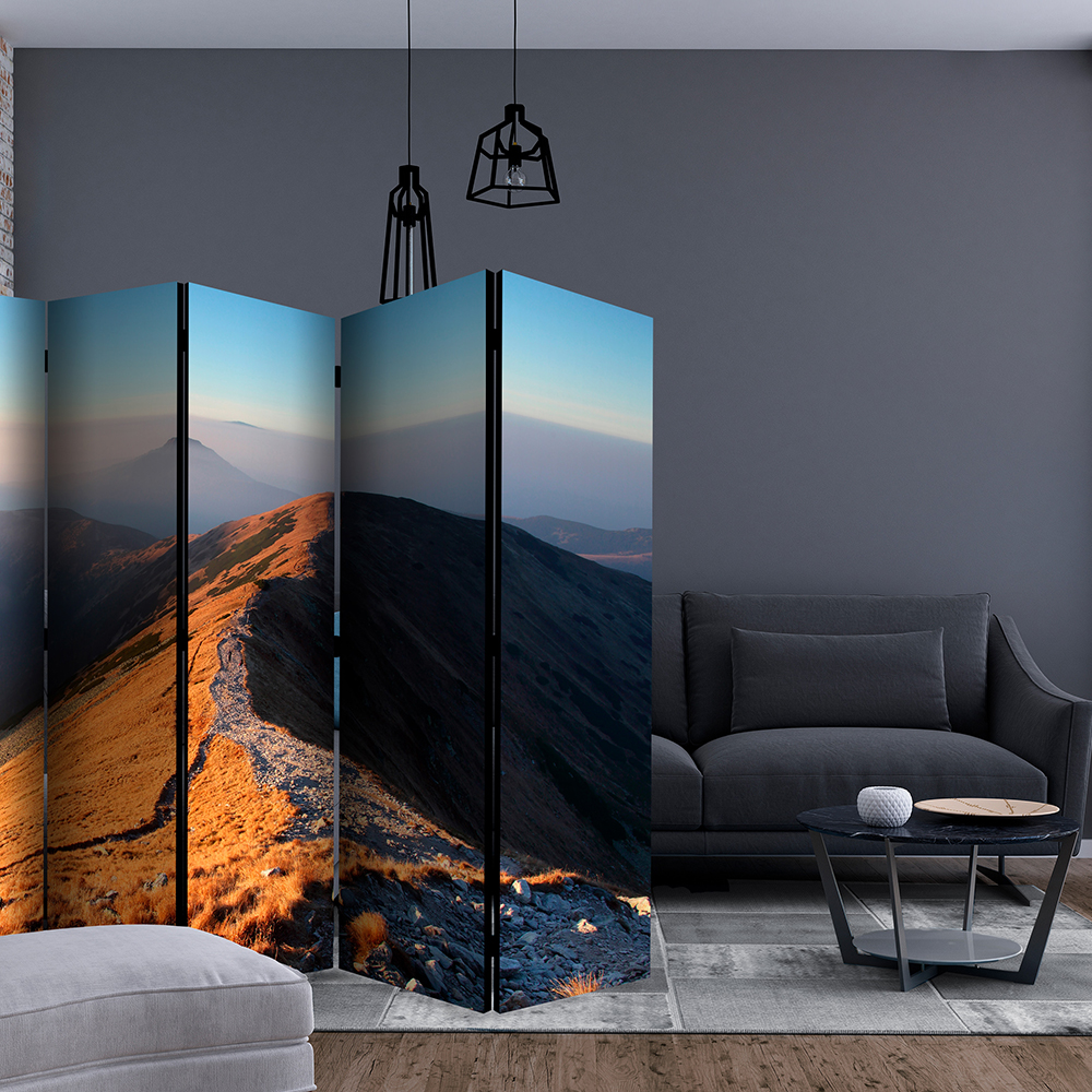 Rumsavdelare Skärmvägg Arkiio Mountain Footpath Tatras II 225x172 cm