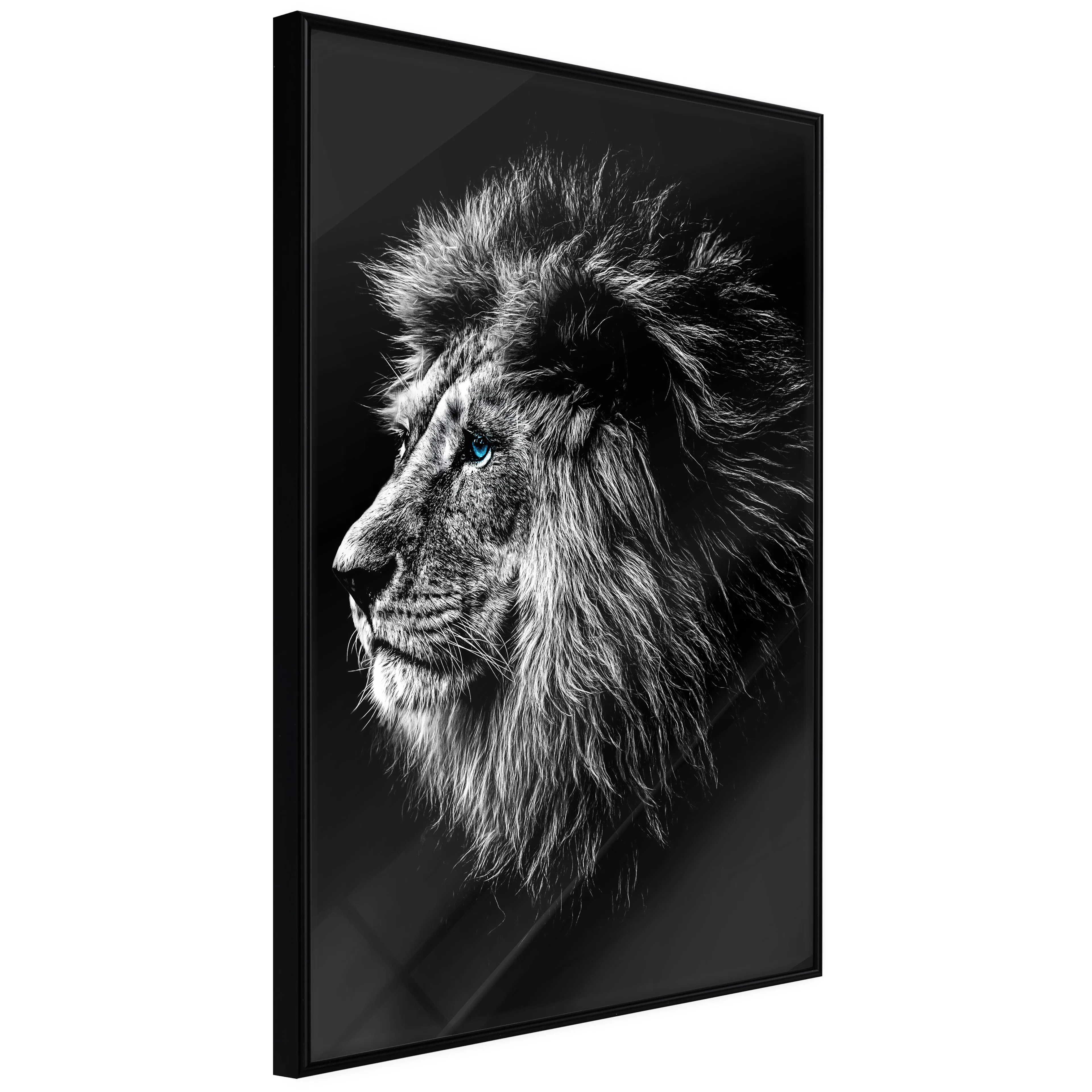Affisch - Blue-eyed Lion [Poster] 20x30 Svart ram, 20x30 cm