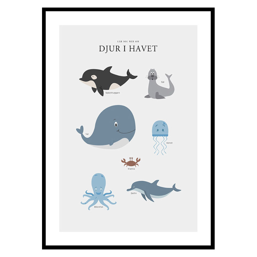 Poster Gallerix Djur I Havet