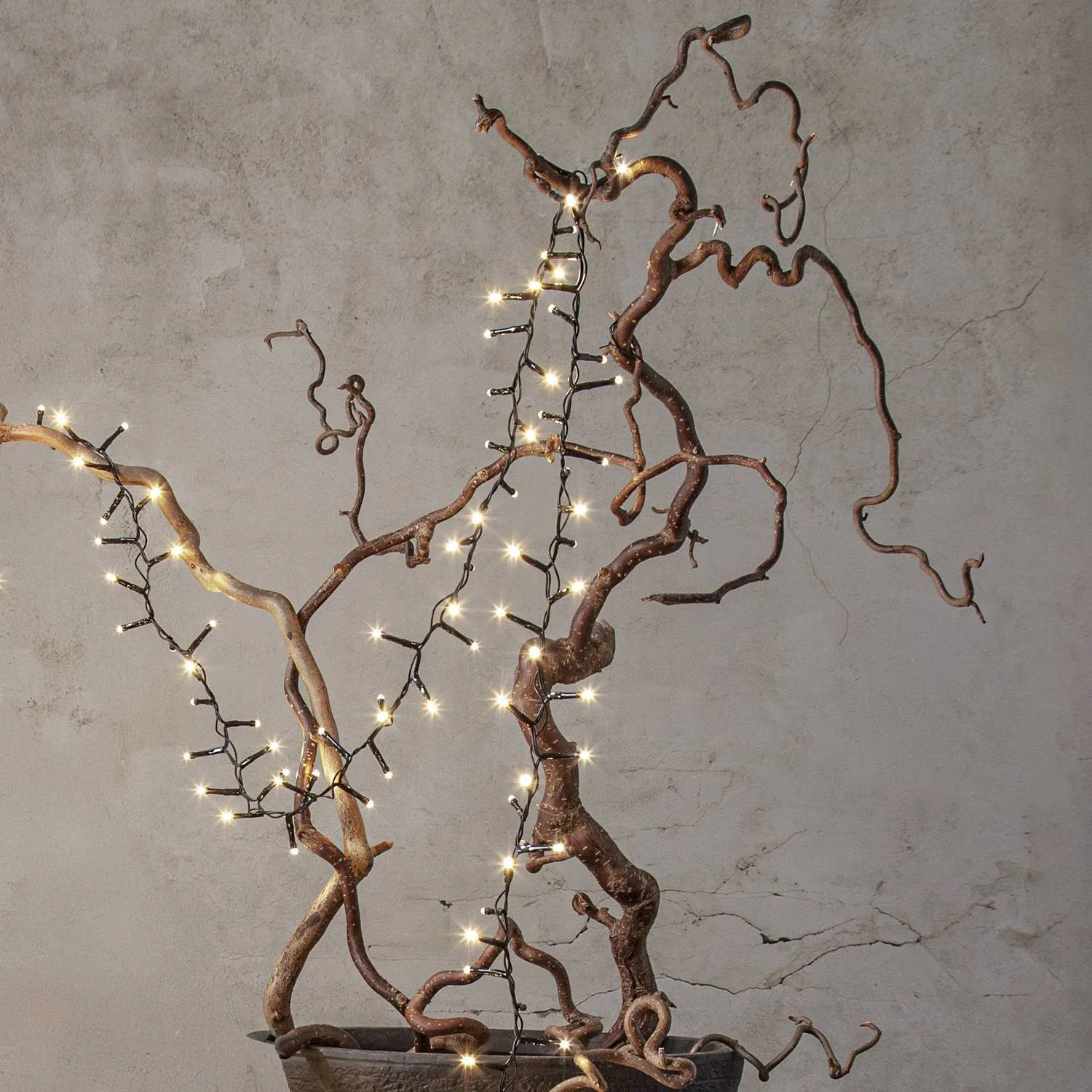 Ljusslinga Star Trading Shiny Warm White Utomhus 5,5 meter 80 LED-lampor