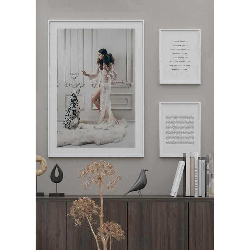 Poster Gallerix Dalmatian