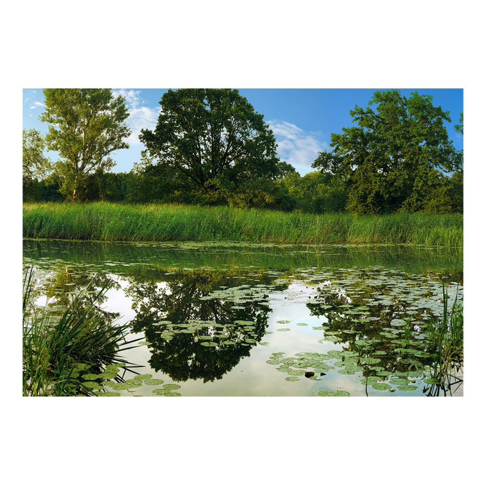 Fototapet Arkiio The Magic Pond