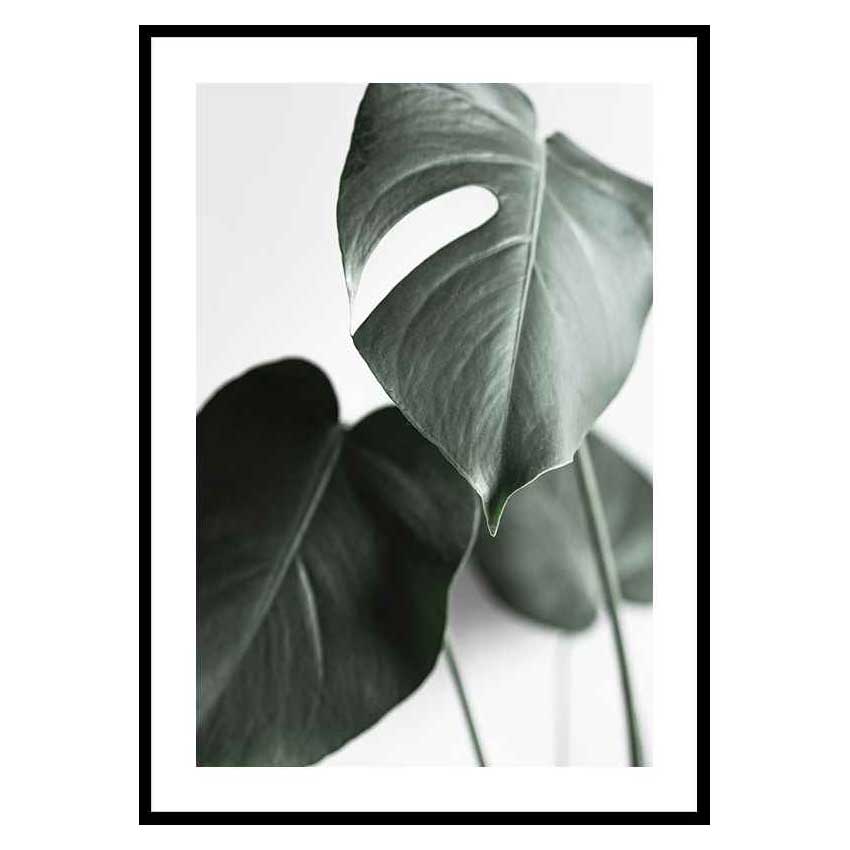 Poster Gallerix Green Leaves No1