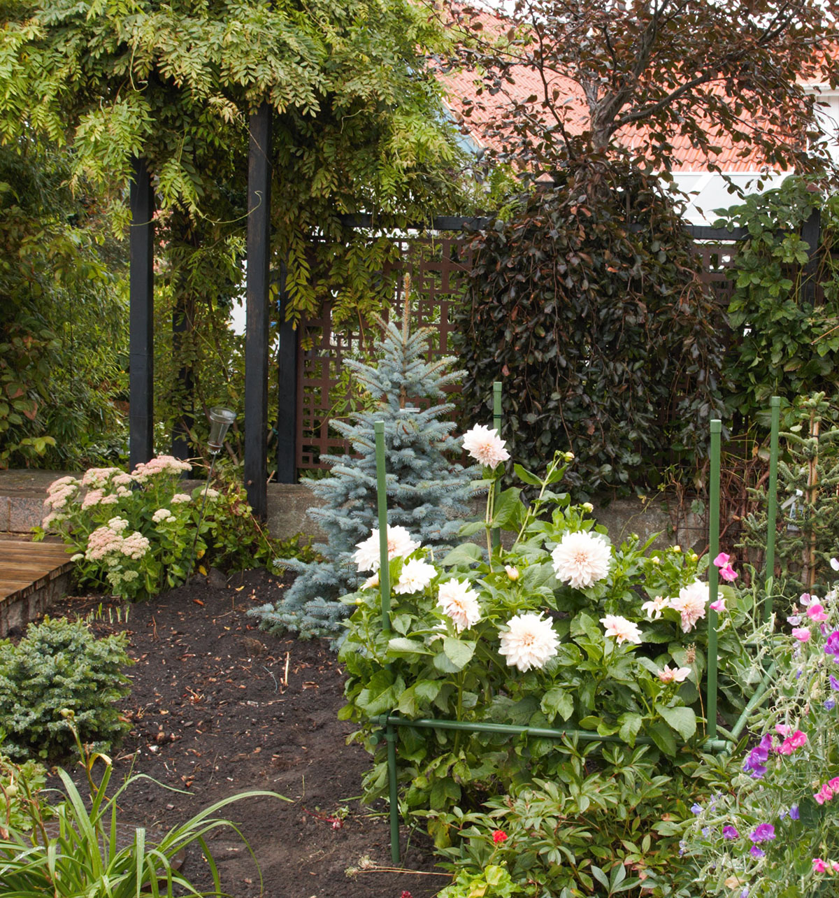 Buskstöd Flexigarden