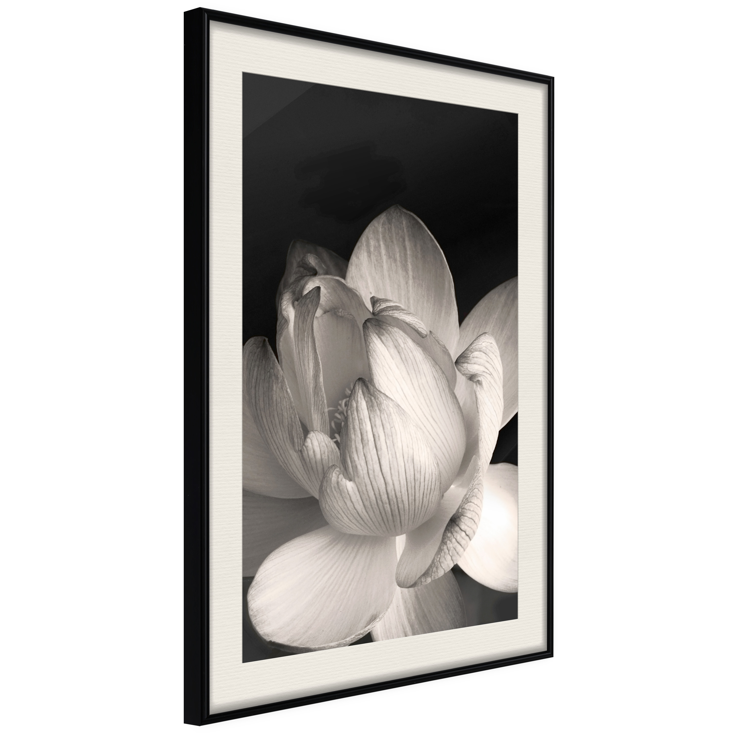 Poster Artgeist Affisch White Subtlety