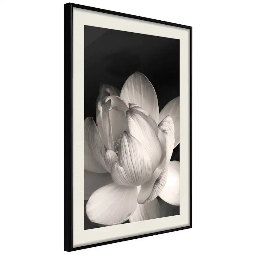 Poster Artgeist Affisch White Subtlety