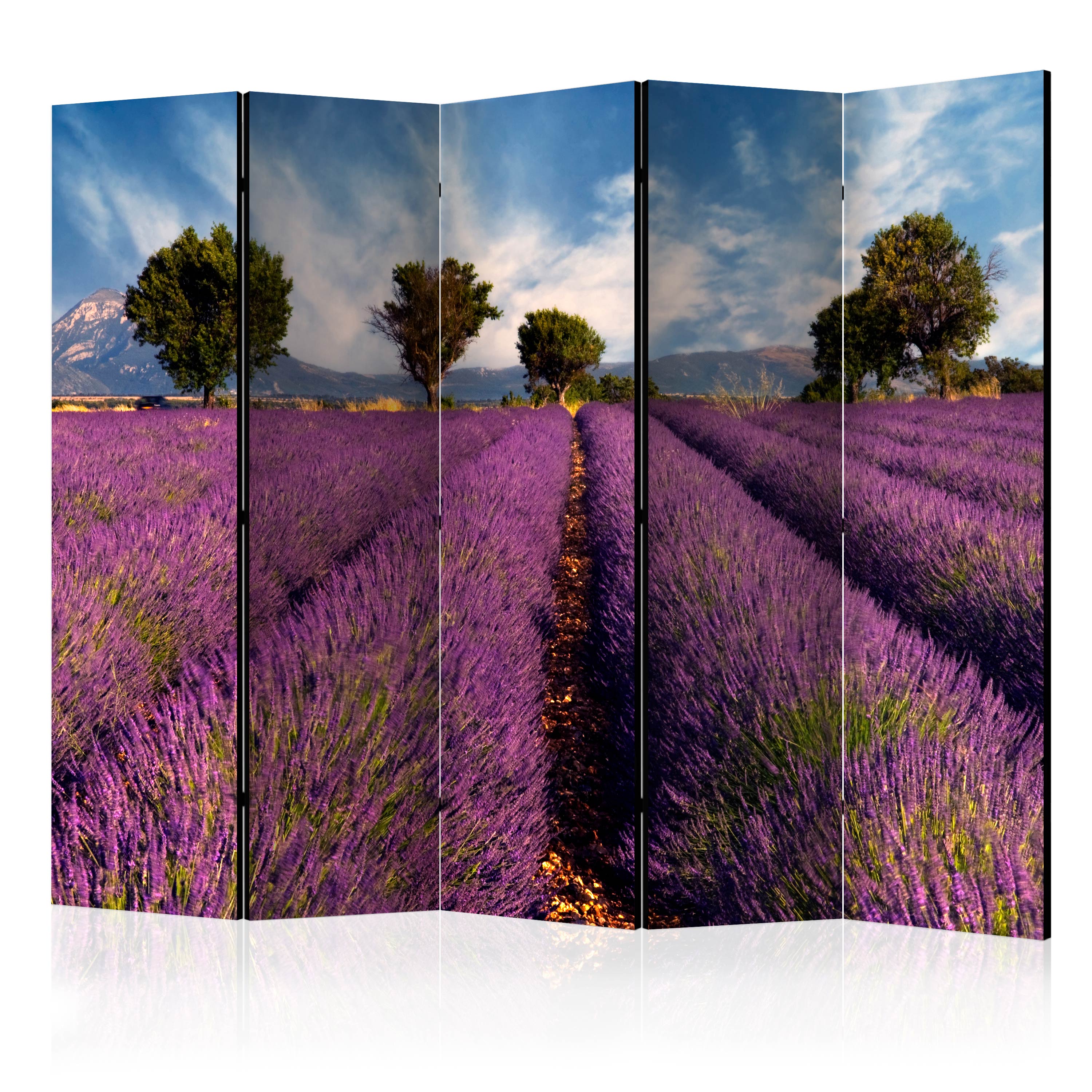Rumsavdelare Skärmvägg Arkiio Lavender Field in Provence France II 225x172 cm