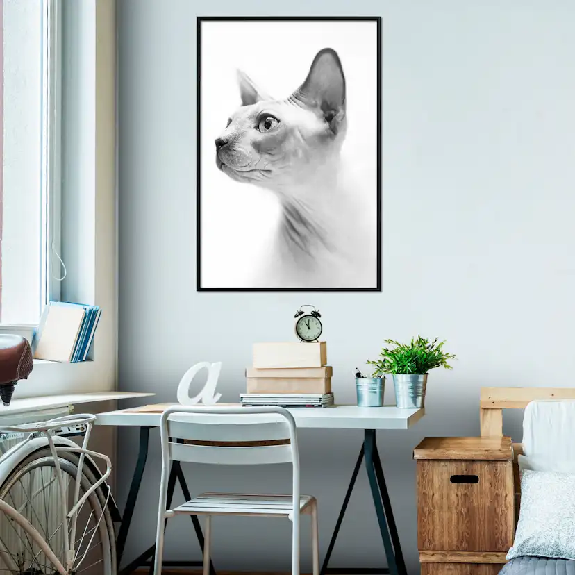 Poster Artgeist Affisch Hairless Cat