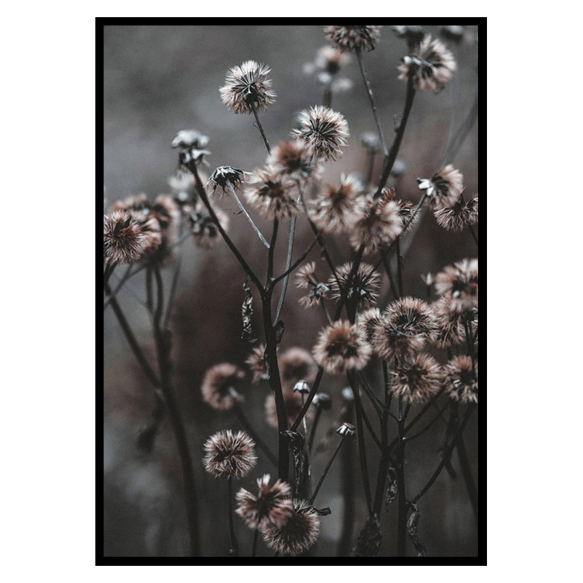 Poster Gallerix Forest Flowers