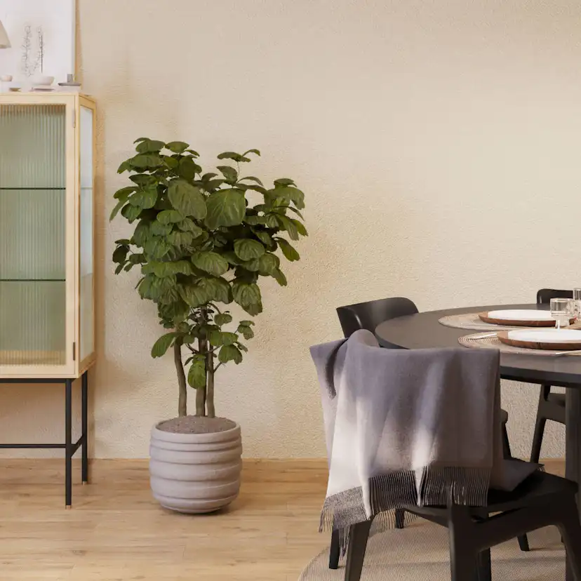Matgrupp Bark Kopparbo Runt Matbord 180 cm med 6Jerup Matstol Bark Svart