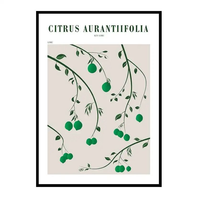 Poster Gallerix Citrus Aurantifolia