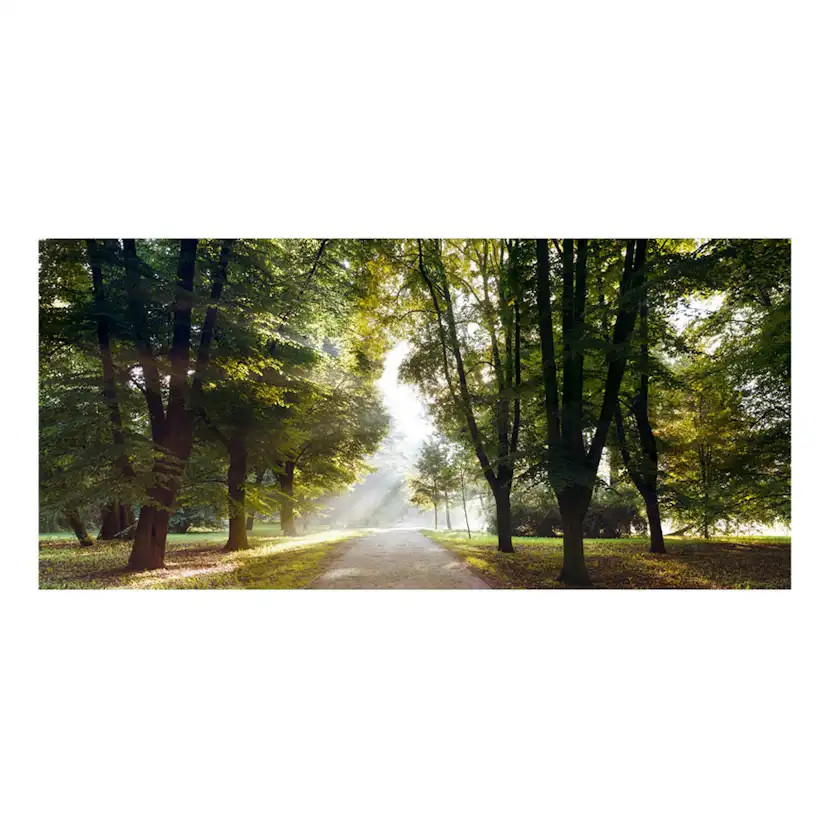 Fototapet Arkiio Självhäftande Morning Walk III 588x280