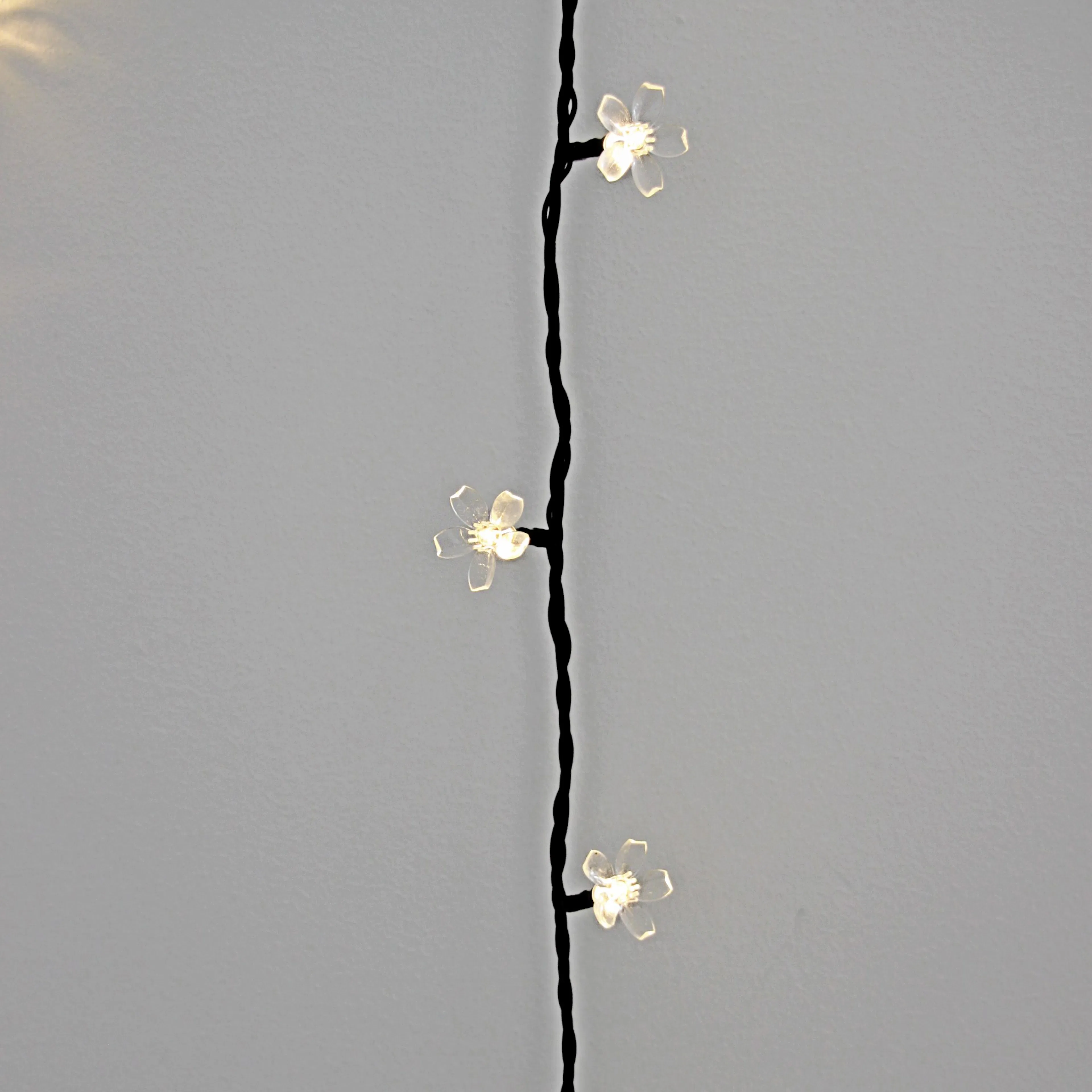Ljusslinga LightsOn Bloom, Svart