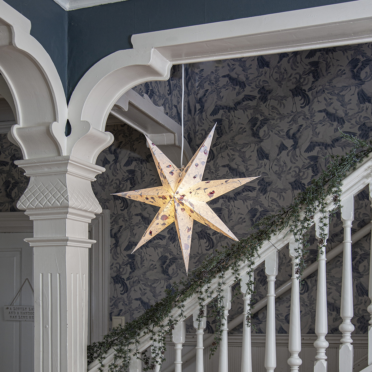 Adventsstjärna Star Trading Care Pappersstjärna