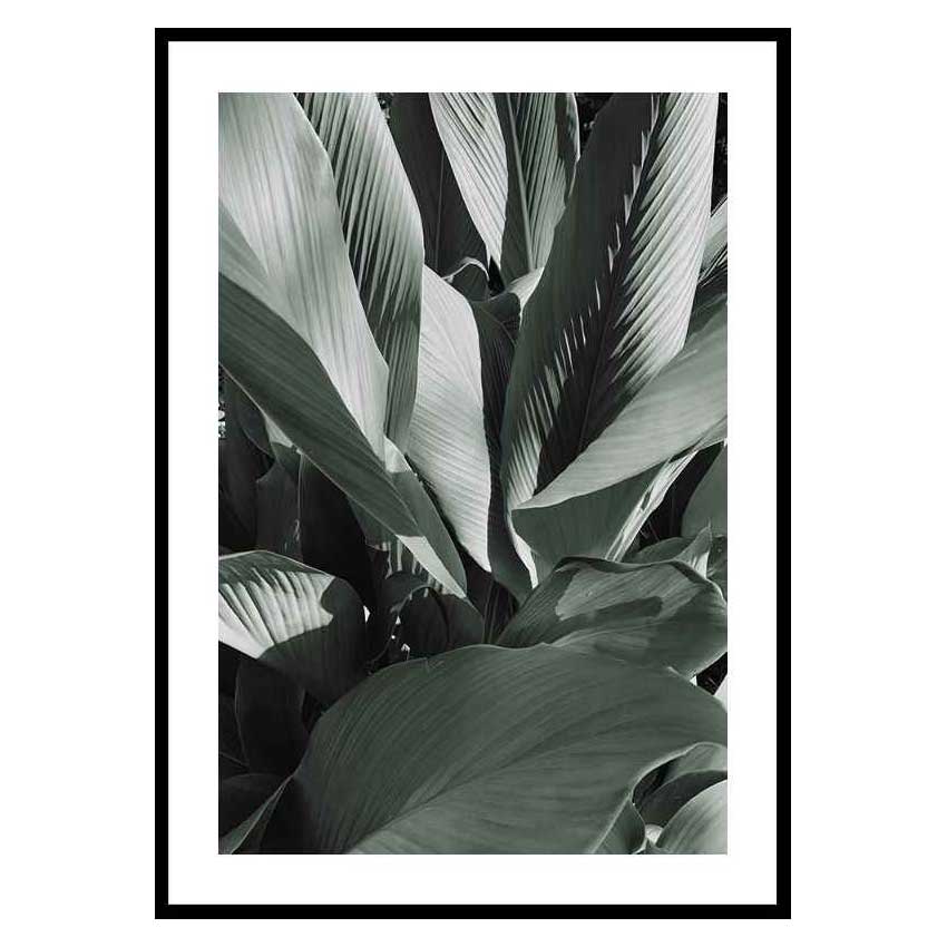 Poster Gallerix Banana Leaves No4