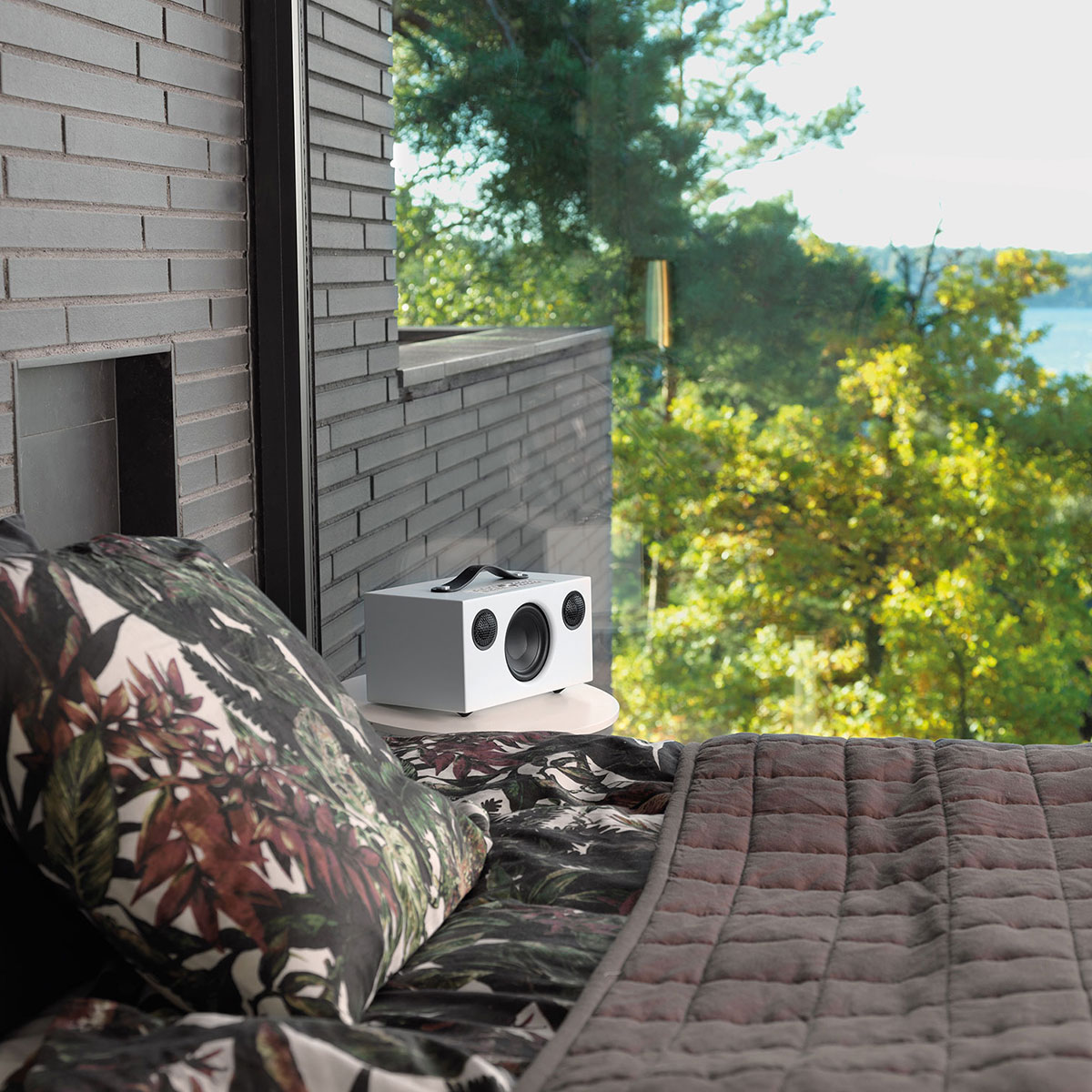 Högtalare Audio Pro C5 MK II