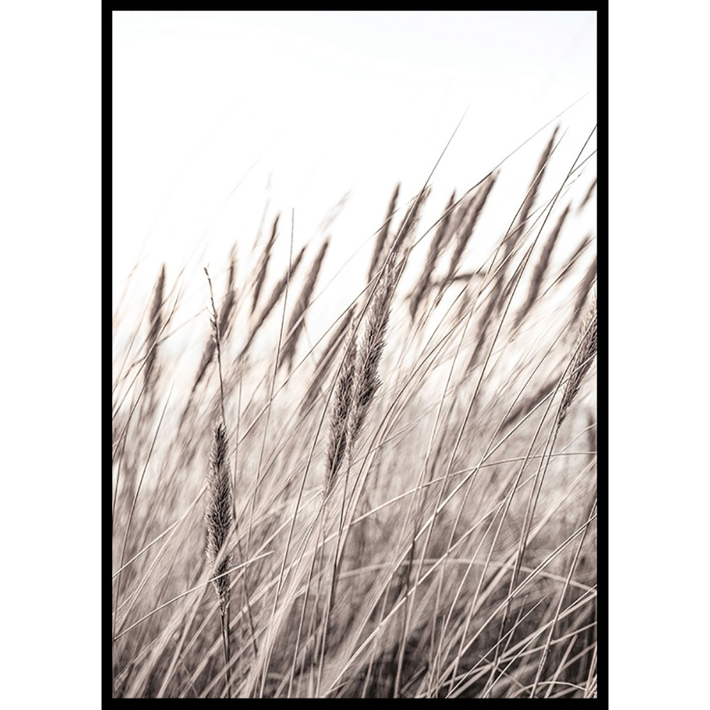 Poster Gallerix Boho Dried In Nature No1
