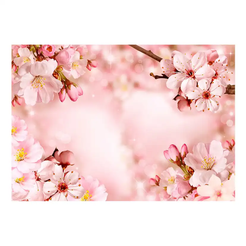 Självhäftande fototapet - Magical Cherry Blossom 98x70 Storlek: 98x70 cm