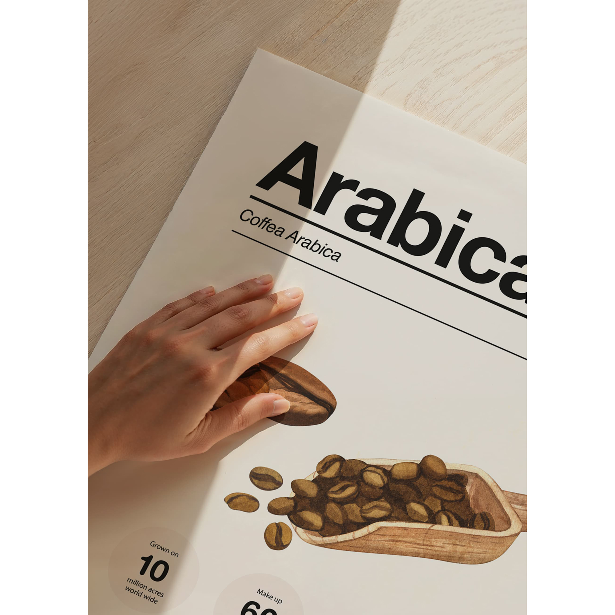 Poster Gallerix Arabica Coffee Beans