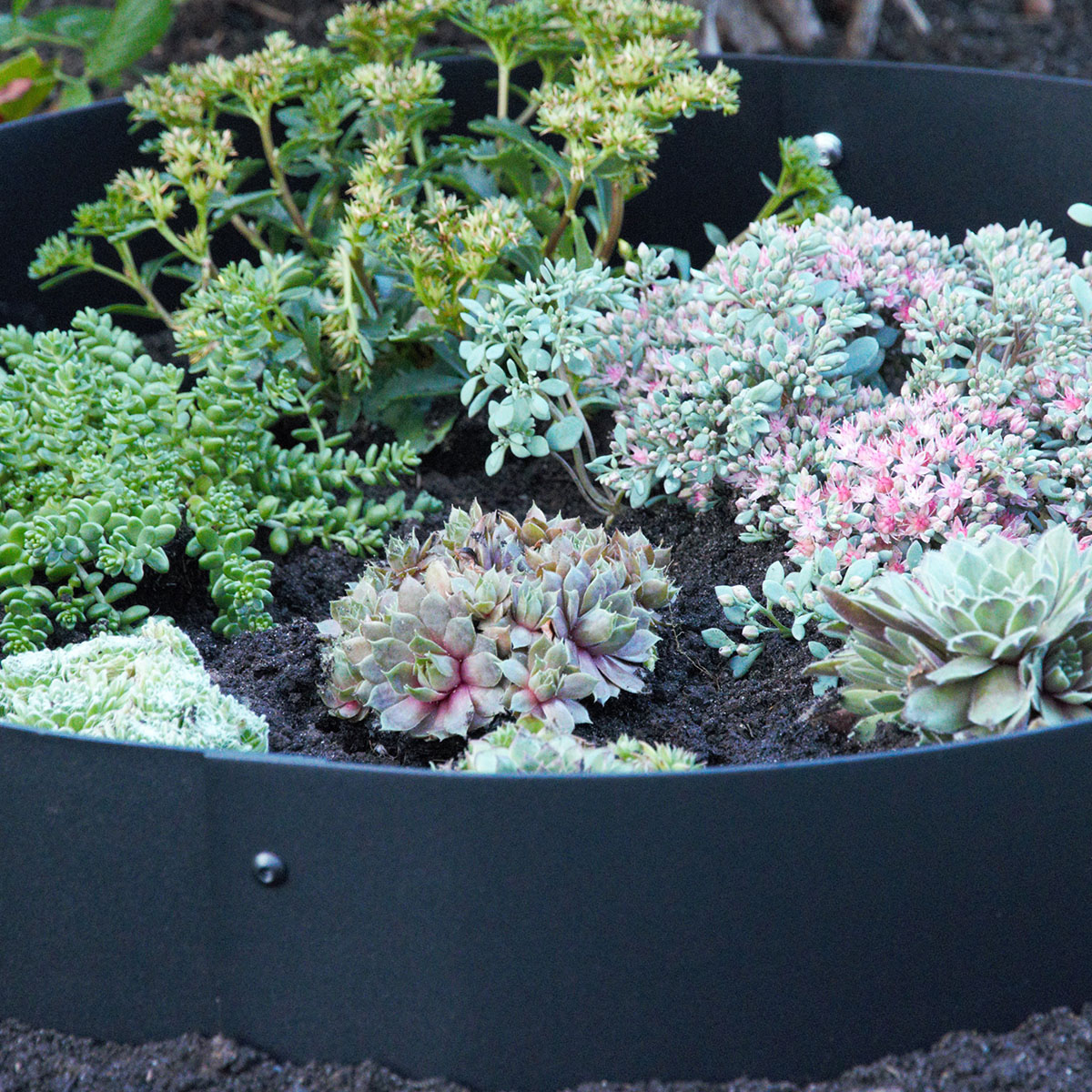 Planteringskant Flexigarden Svart 120 mm Hörn Justerbart