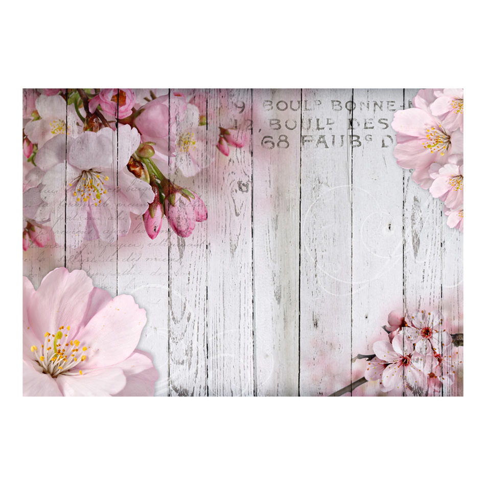 Fototapet Arkiio Apple Blossoms