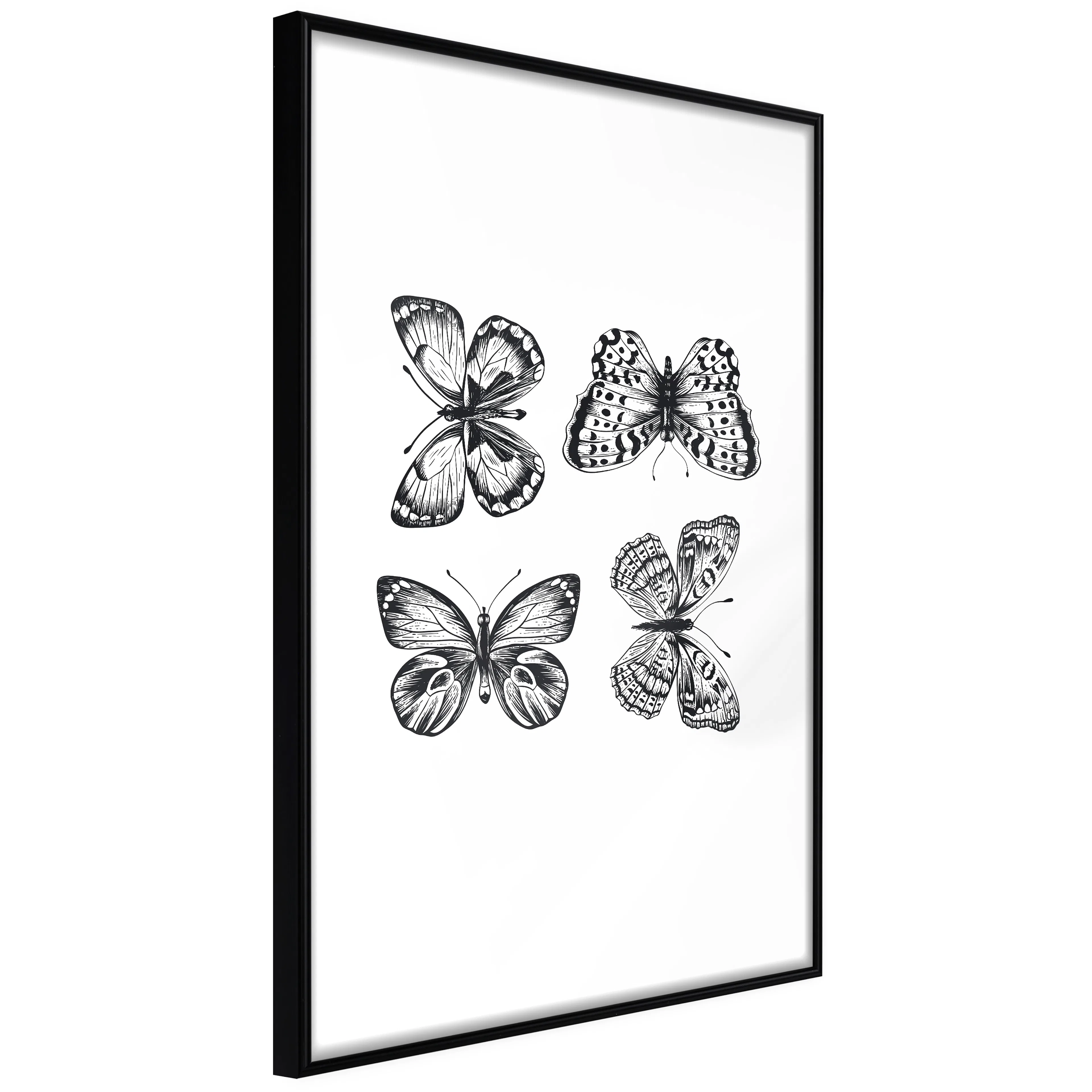 Affisch - Four Butterflies [Poster] 20x30 Svart ram, 20x30 cm