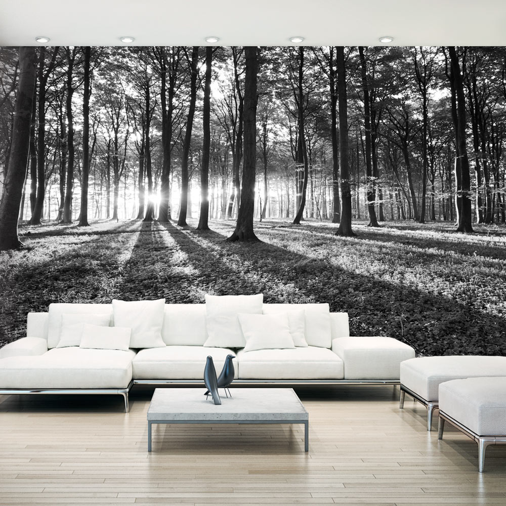 Fototapet Arkiio Självhäftande Grey Wilderness II 490x280