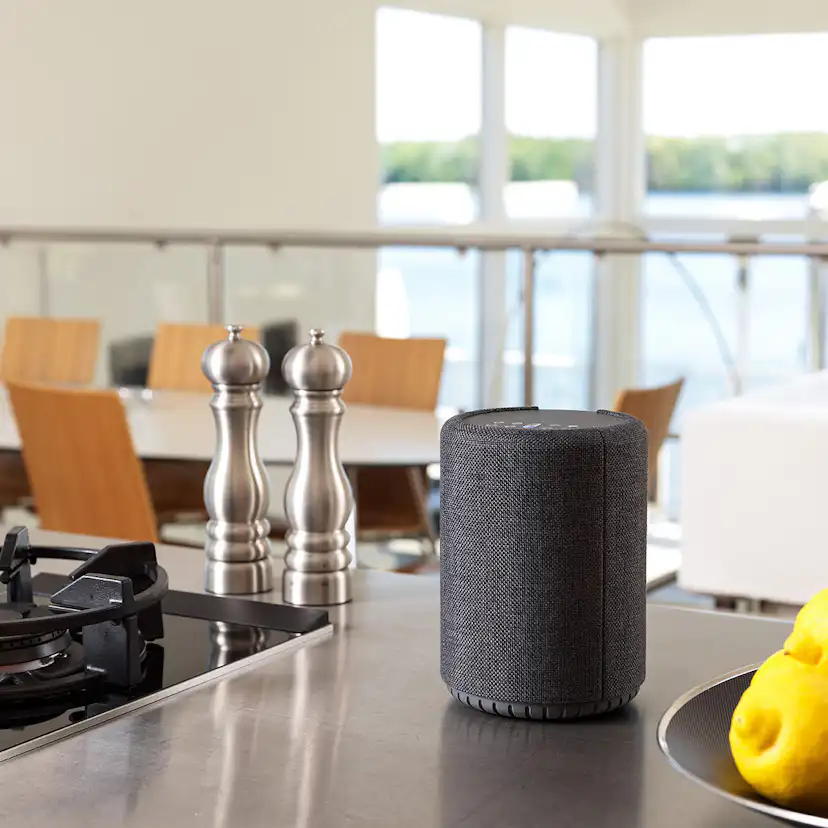 Högtalare Audio Pro A10