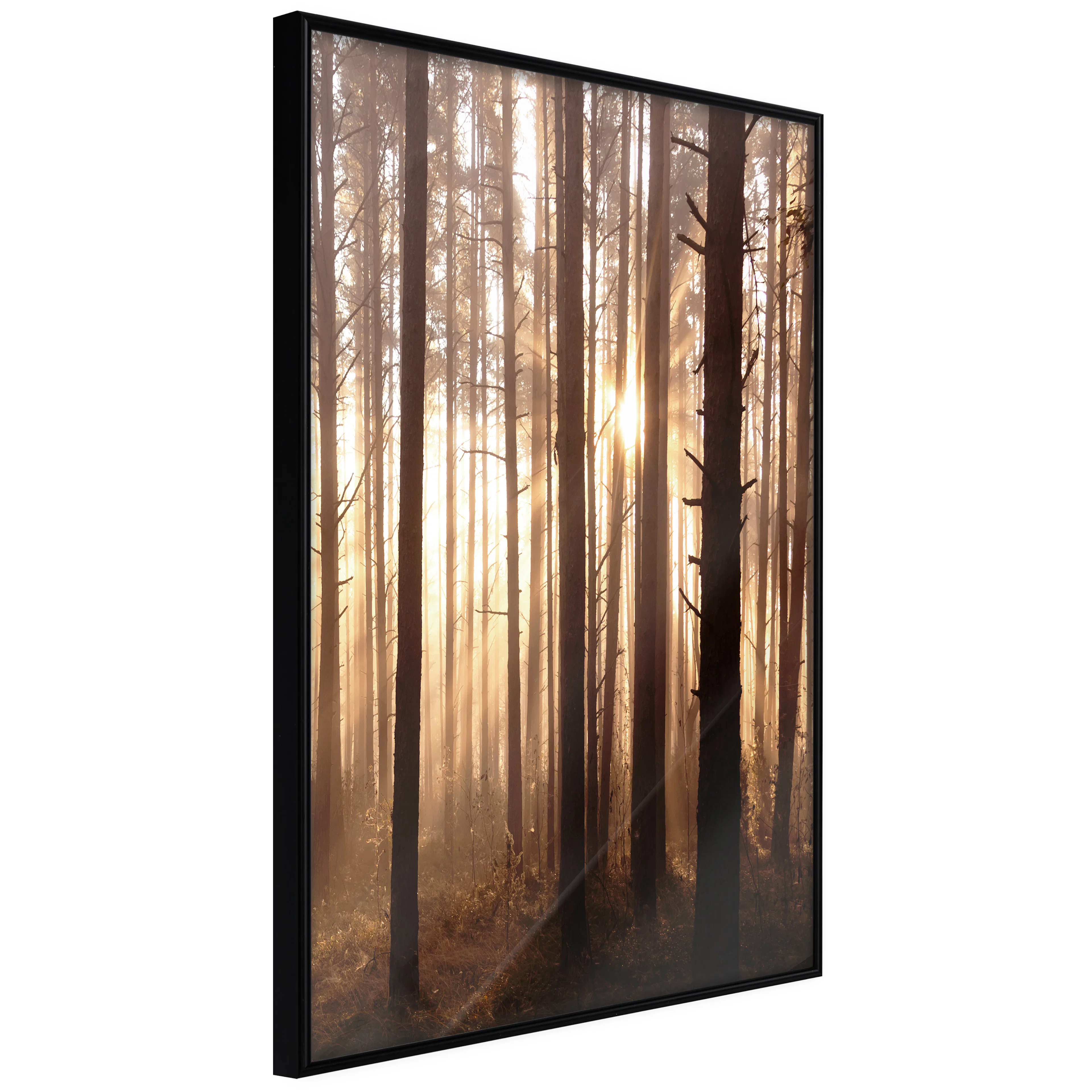 Affisch - Forest Paths [Poster] 40x60 Svart ram, 40x60 cm