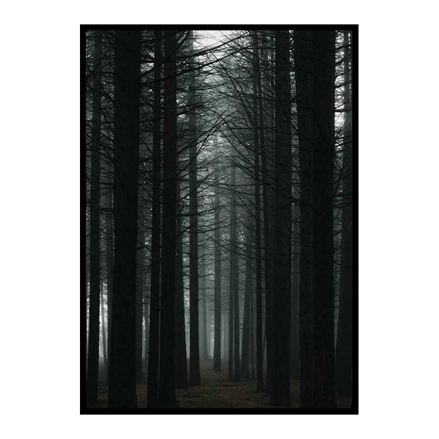 Poster Gallerix Dark Forest