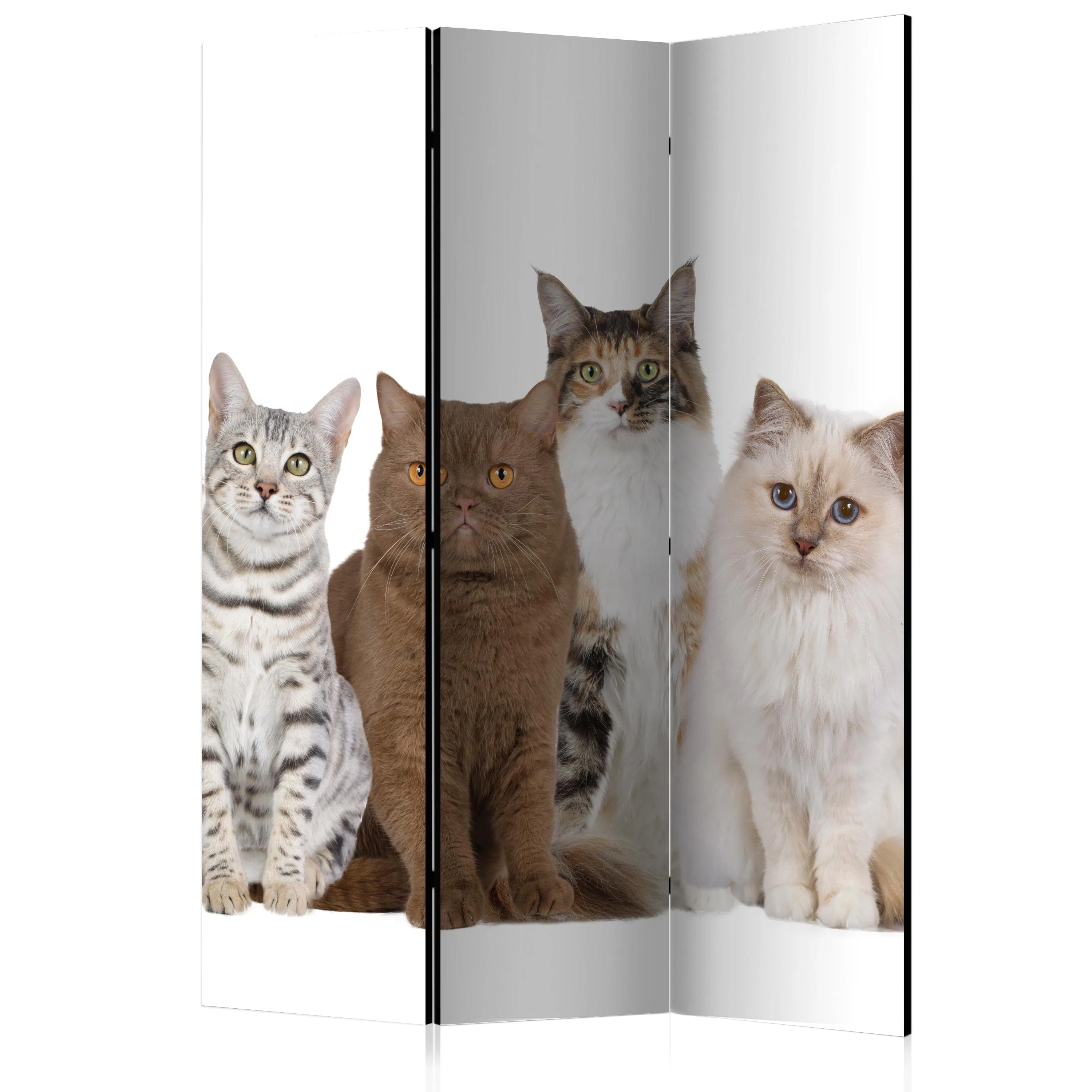Rumsavdelare Skärmvägg Arkiio Sweet Cats 135x172 cm