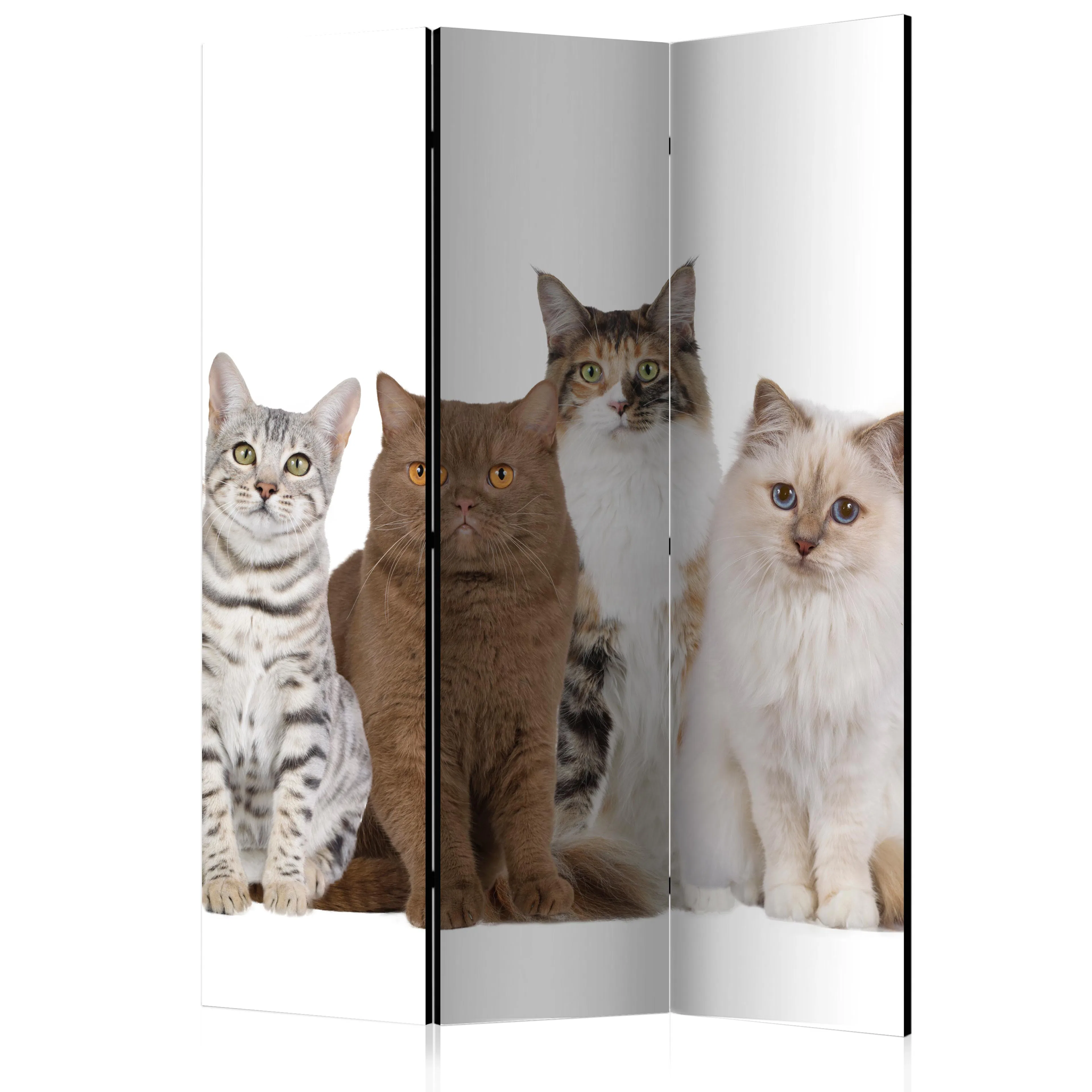 Rumsavdelare Skärmvägg Arkiio Sweet Cats 135x172 cm