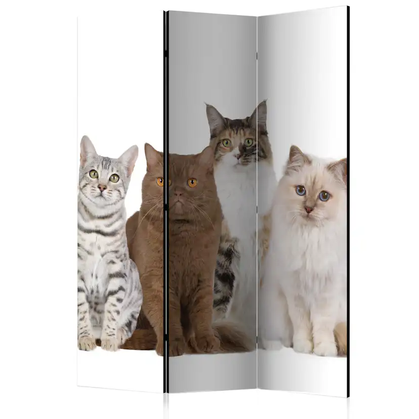 Rumsavdelare Skärmvägg Arkiio Sweet Cats 135x172 cm