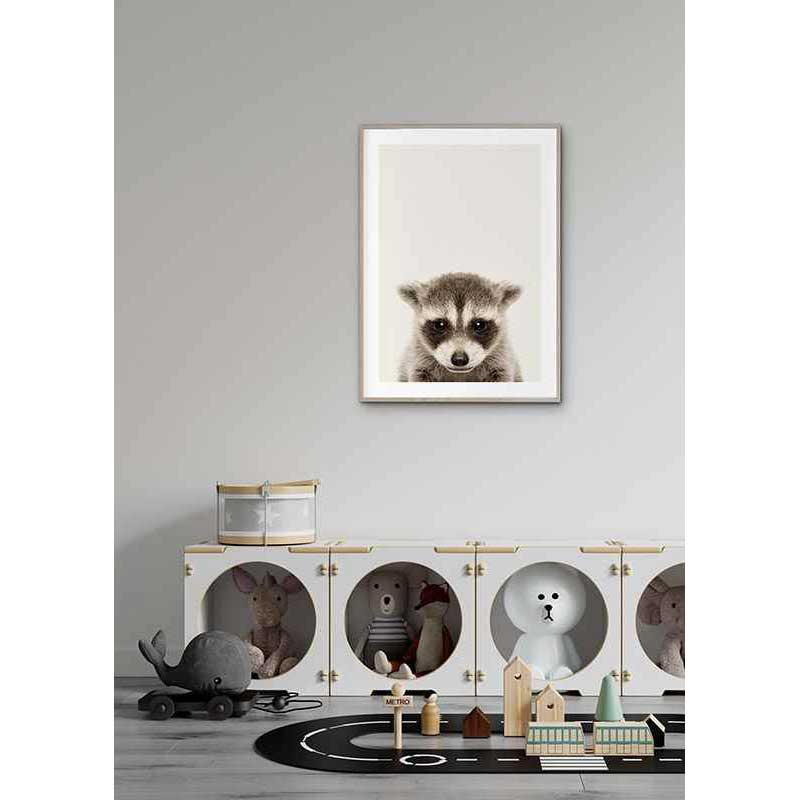 Poster Gallerix Baby Raccoon