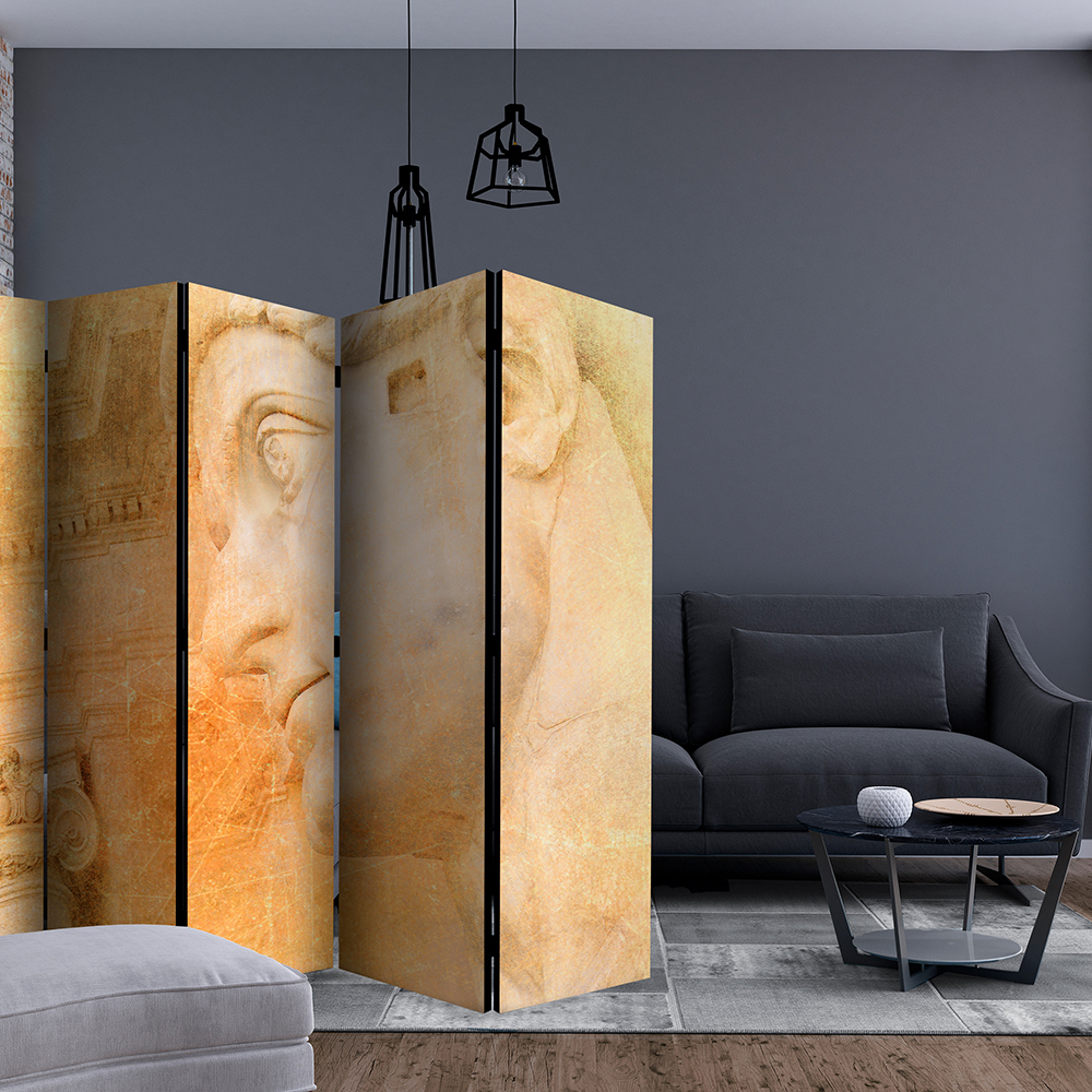 Rumsavdelare Skärmvägg Arkiio Greek God II 225x172 cm