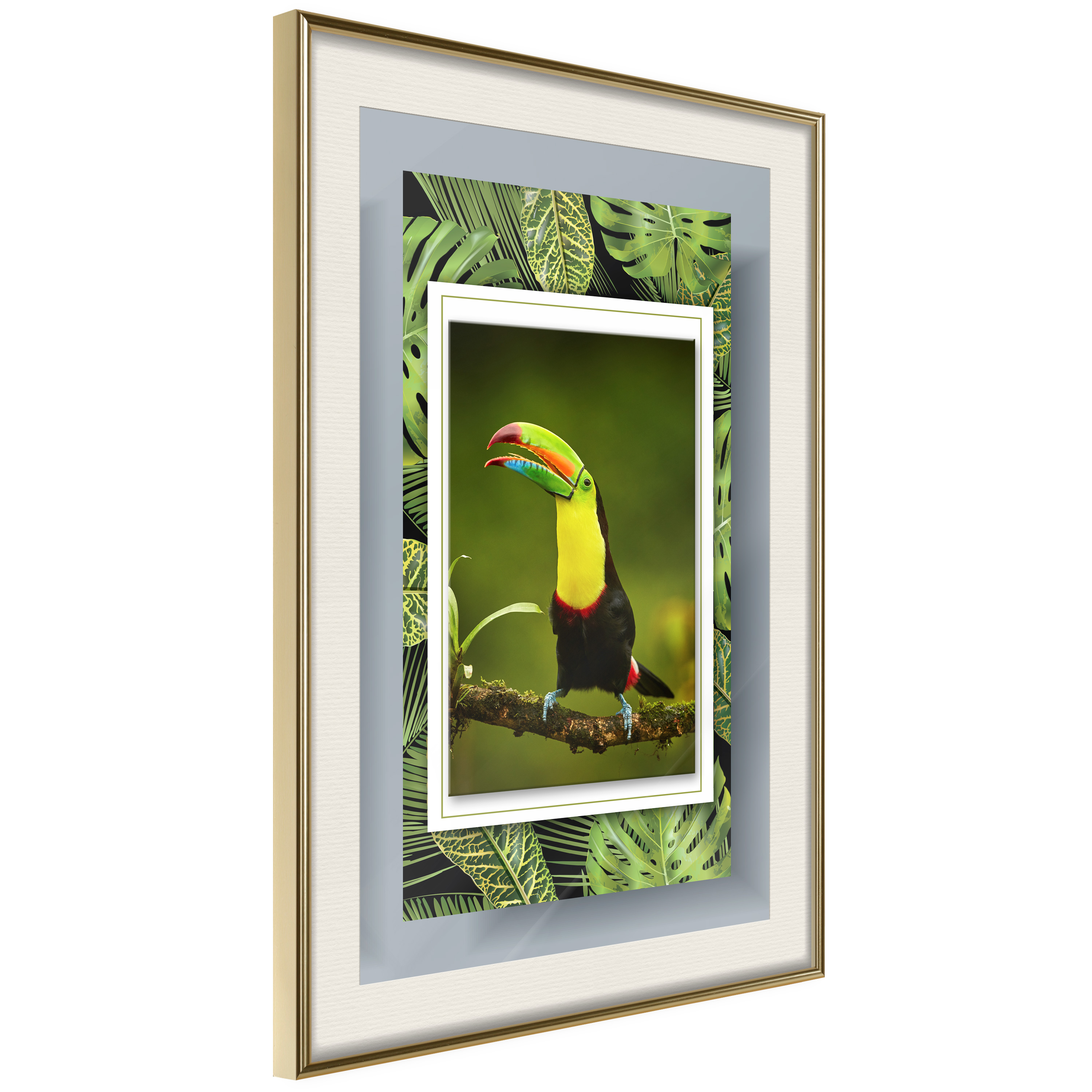 Poster Artgeist Affisch Toucan