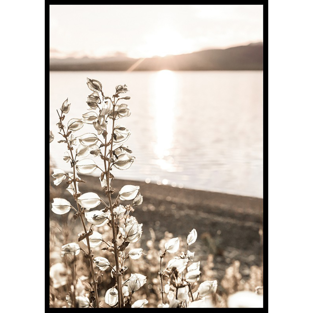 Poster Gallerix Autumn Meadow