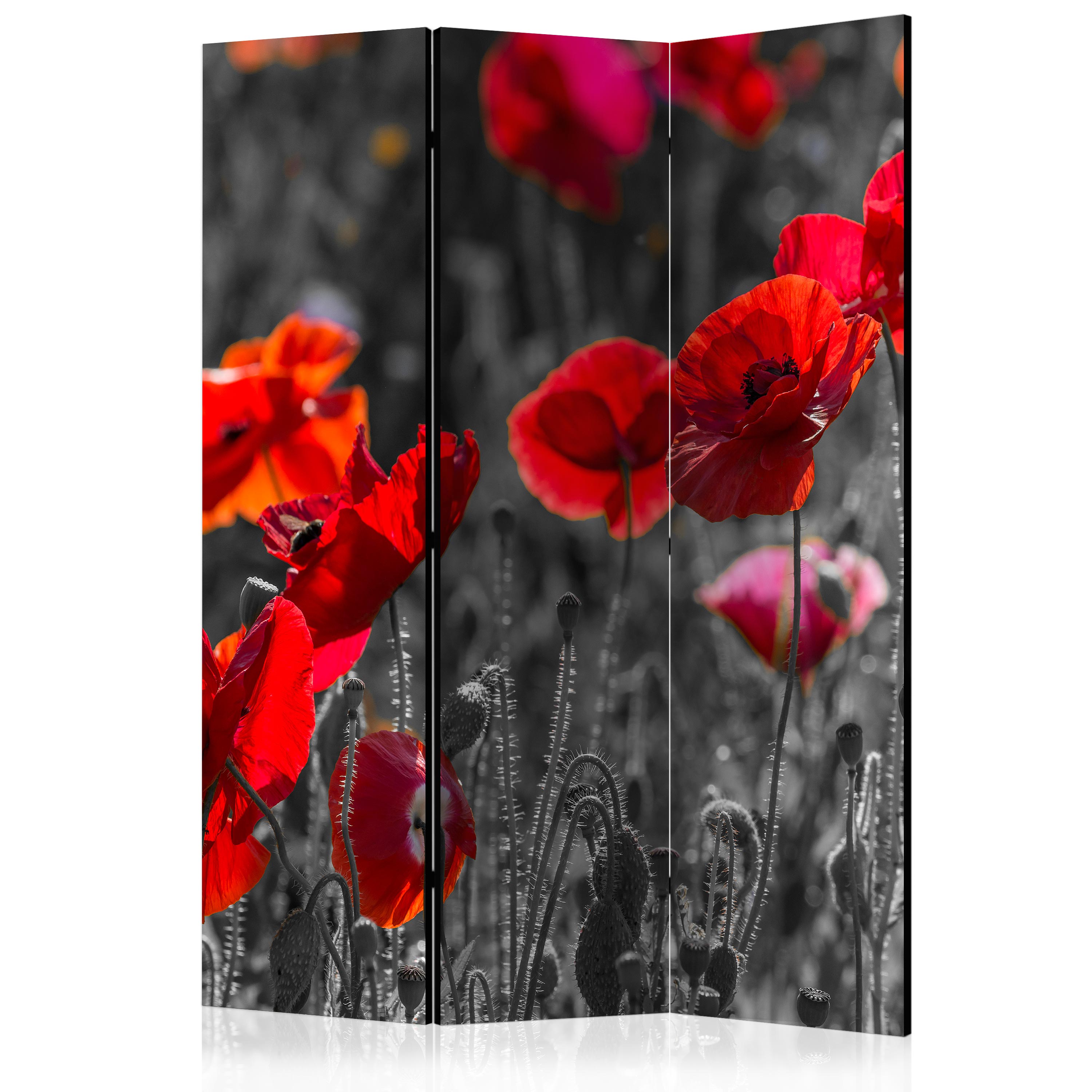 Rumsavdelare Skärmvägg Arkiio Red Poppies 135x172 cm